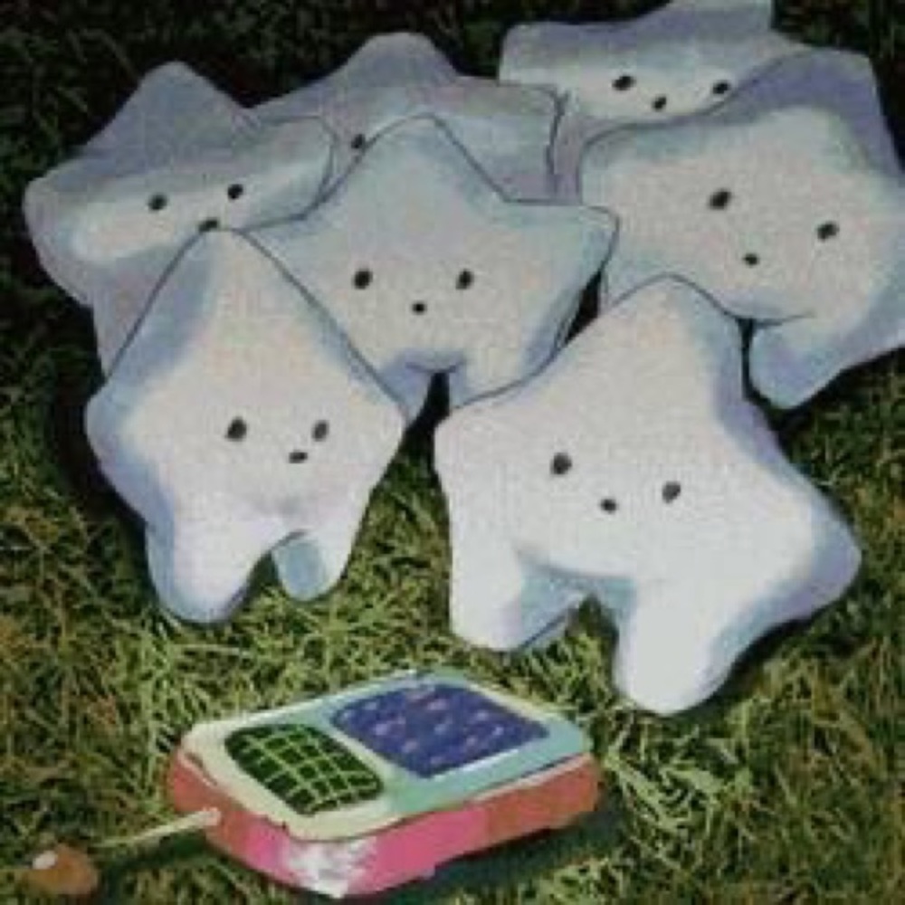 Meet your Posher, Alena